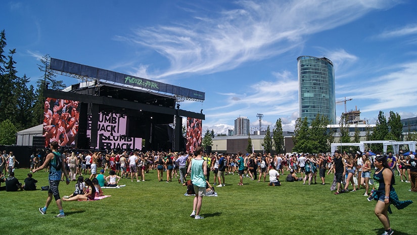 FVDED in the Park