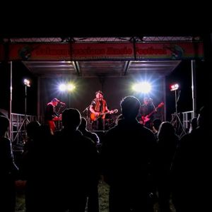 Music Festival at Night