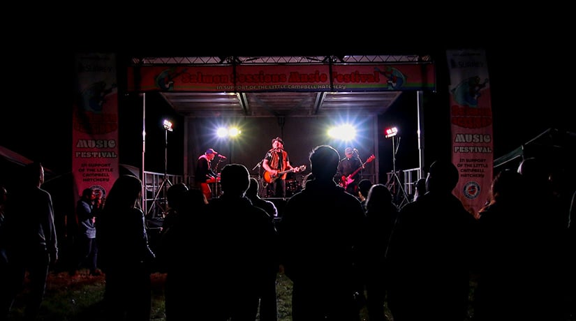 Music Festival at Night